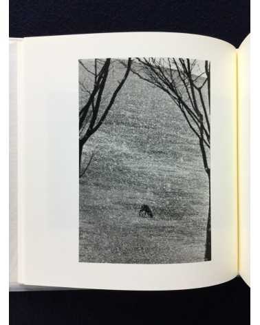 Eiko Nishikawa - Photographs and Poetry - 1999