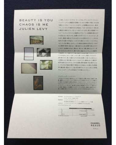 Julien Levy - Beauty is You, Chao is me - 2014