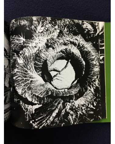 Daido Moriyama - Japan, A Photo Theater II, Sonorama Photography Anthology Vol.7 - 1978