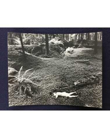 Wynn Bullock - Child in Forest [Print] - 1975