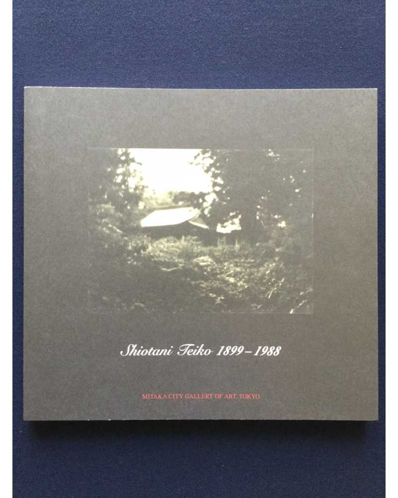 Teiko Shiotani - Exhibition Catalogue - 2016