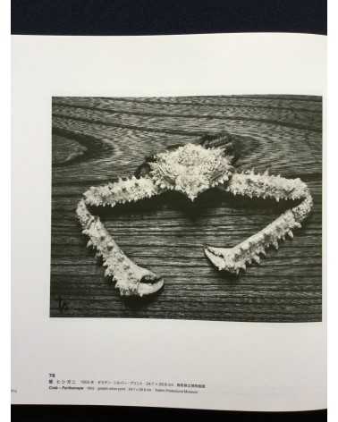 Teiko Shiotani - Exhibition Catalogue - 2016