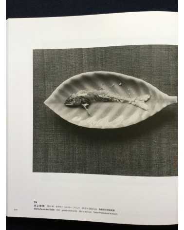 Teiko Shiotani - Exhibition Catalogue - 2016