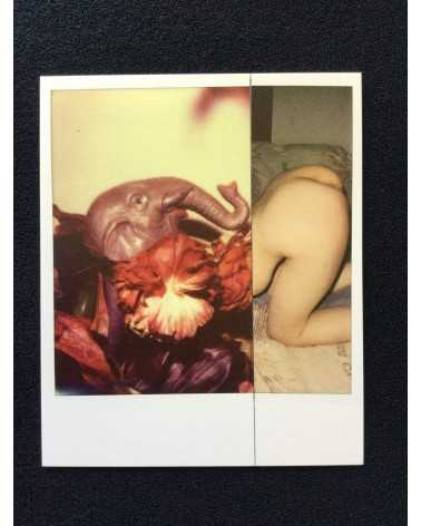 Nobuyoshi Araki - Kekkai - 2014