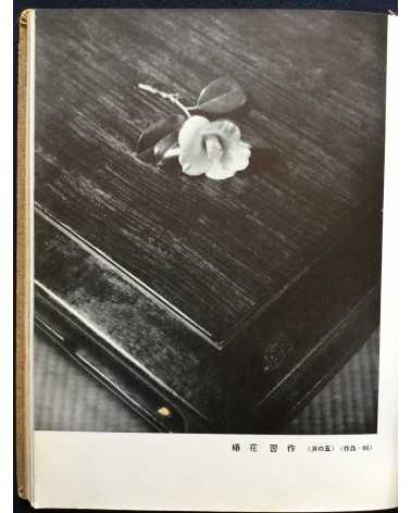 Hachiro Suzuki - Practical Photography Photographing Your Garden - 1938