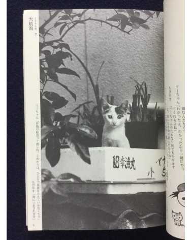 Yoshiaki Maeda - The Timetable for Cats - 2004