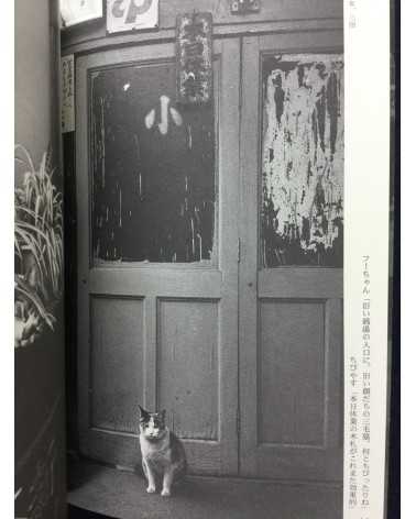 Yoshiaki Maeda - The Timetable for Cats - 2004