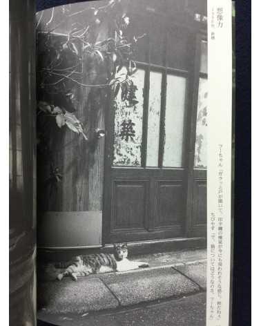 Yoshiaki Maeda - The Timetable for Cats - 2004