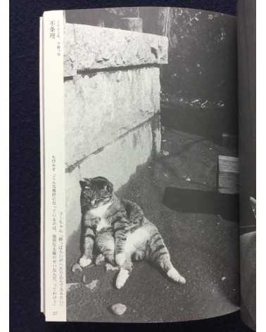Yoshiaki Maeda - The Timetable for Cats - 2004