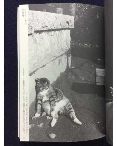 Yoshiaki Maeda - The Timetable for Cats - 2004
