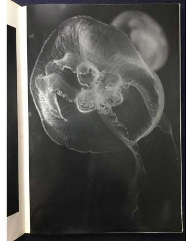 Kikuji Kawada - The Last Cosmology - 1995