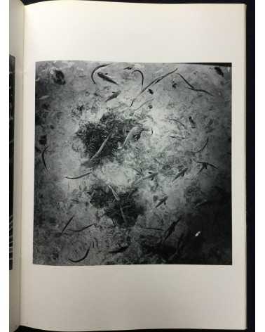 Kikuji Kawada - The Last Cosmology - 1995