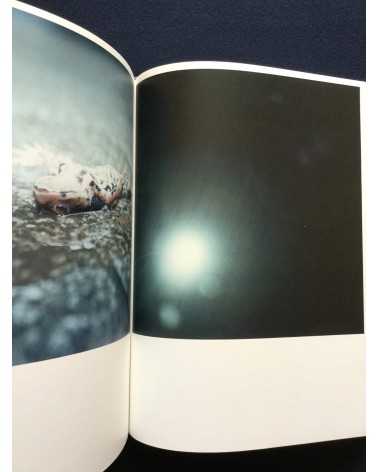 Rinko Kawauchi - Illuminance & Paperweight - 2011