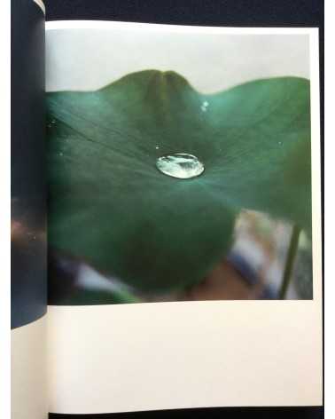 Rinko Kawauchi - Illuminance & Paperweight - 2011