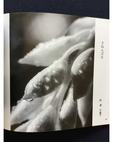 Amami Archipel Photography Association Collection - Volumes 1-3 - 1992/1994