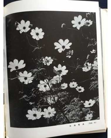 Hachiro Suzuki - Practical Photography Photographing Your Garden - 1938