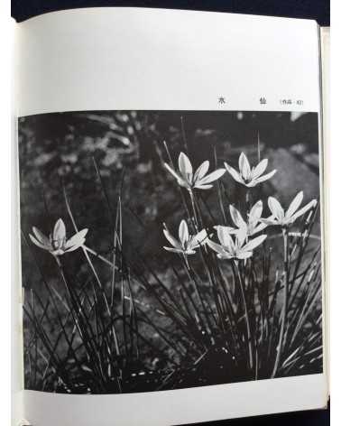 Hachiro Suzuki - Practical Photography Photographing Your Garden - 1938