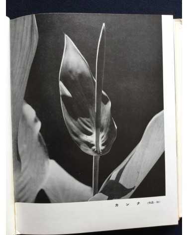 Hachiro Suzuki - Practical Photography Photographing Your Garden - 1938