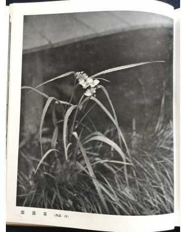 Hachiro Suzuki - Practical Photography Photographing Your Garden - 1938