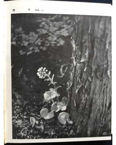 Hachiro Suzuki - Practical Photography Photographing Your Garden - 1938