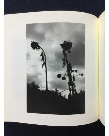 Eiko Nishikawa - Photographs and Poetry - 1999