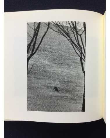 Eiko Nishikawa - Photographs and Poetry - 1999