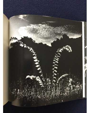 Gasho Yamamura - Plants - 1976