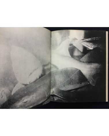 Daido Moriyama - Bye Bye Photography (Farewell Photography) - 1972