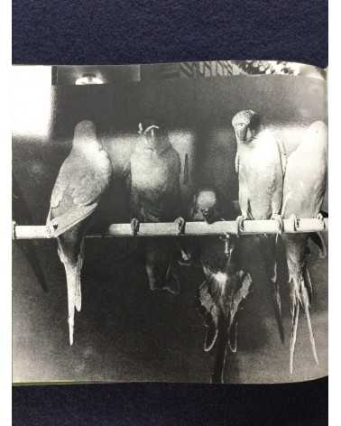 Daido Moriyama - Japan, A Photo Theater II, Sonorama Photography Anthology Vol.7 - 1978