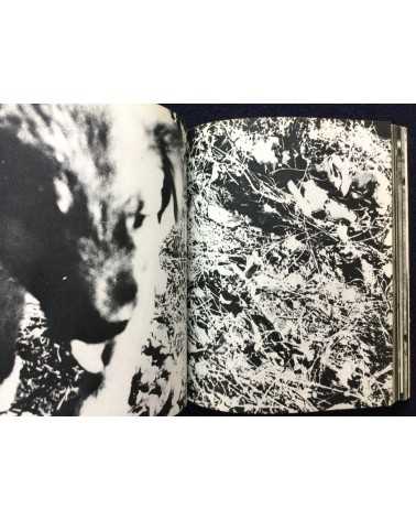 Daido Moriyama - Bye Bye Photography (Farewell Photography) - 1972