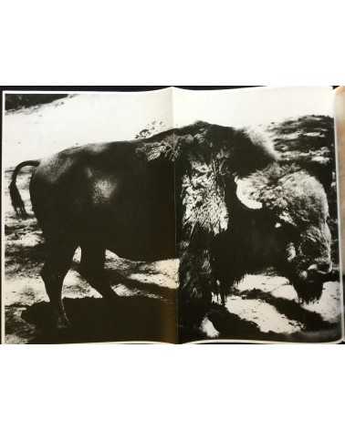 Daido Moriyama - Menu (Extra) - 2012