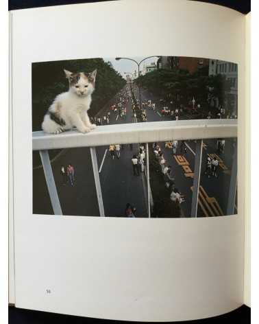 Masahisa Fukase - The Strawhat Cat - 1979