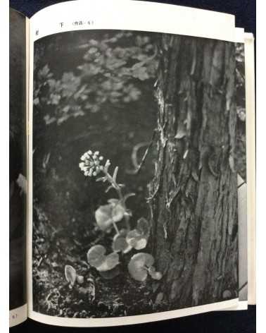 Hachiro Suzuki - Practical Photography Photographing Your Garden - 1938