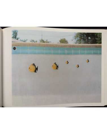 Taro Hirano - Pool - 2005