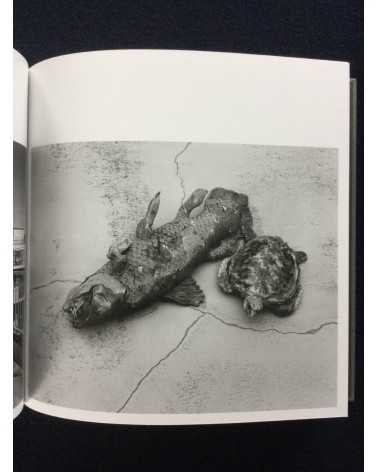 Nobuyoshi Araki x Guimet Museum - Tombeau Tokyo - 2017