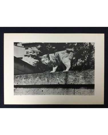 Student Collective (Group K) - Rankiryu - 1976