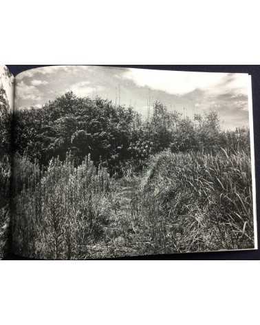 Shoko Hashimoto - Undergrowth - 2016