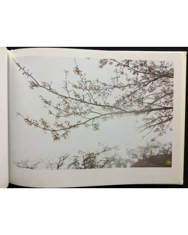 Rinko Kawauchi - Light and Shadow - 2012