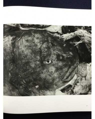 Masahisa Fukase - Ravens Special Edition with original print "Erimo Cape" - 2008