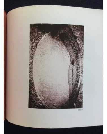 Atsushi Tani - Artwork - 1991