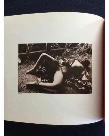 Atsushi Tani - Artwork - 1991