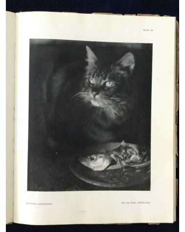 Photograms of the year 1931 - 1932
