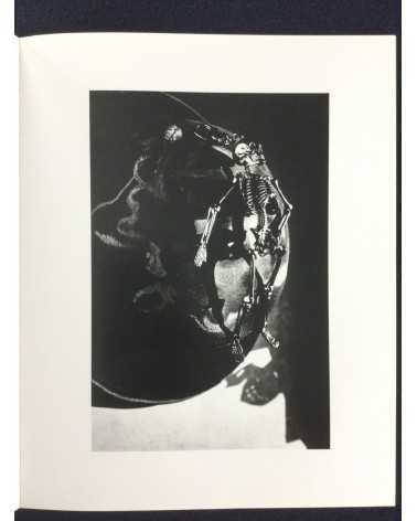 Camel - No.2, Fragments of Desire - 2010