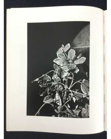 Camel - No.2, Fragments of Desire - 2010