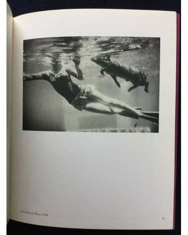 Light - 1981