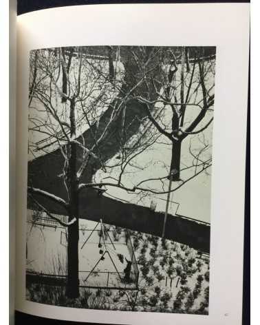 Light - 1981
