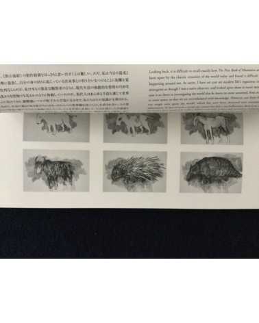 Qiu Anxiong - Video and animation works 2005-2006 - 2007