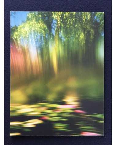 Sayo Nagase - White Flowers - 2012