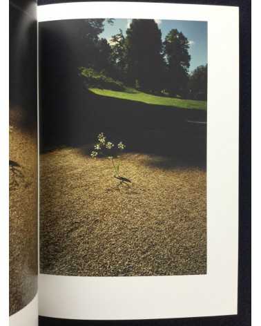Sayo Nagase - White Flowers - 2012