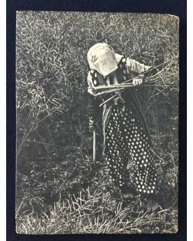 An Overview of Modern Japanese Photography (Gendai Nihon